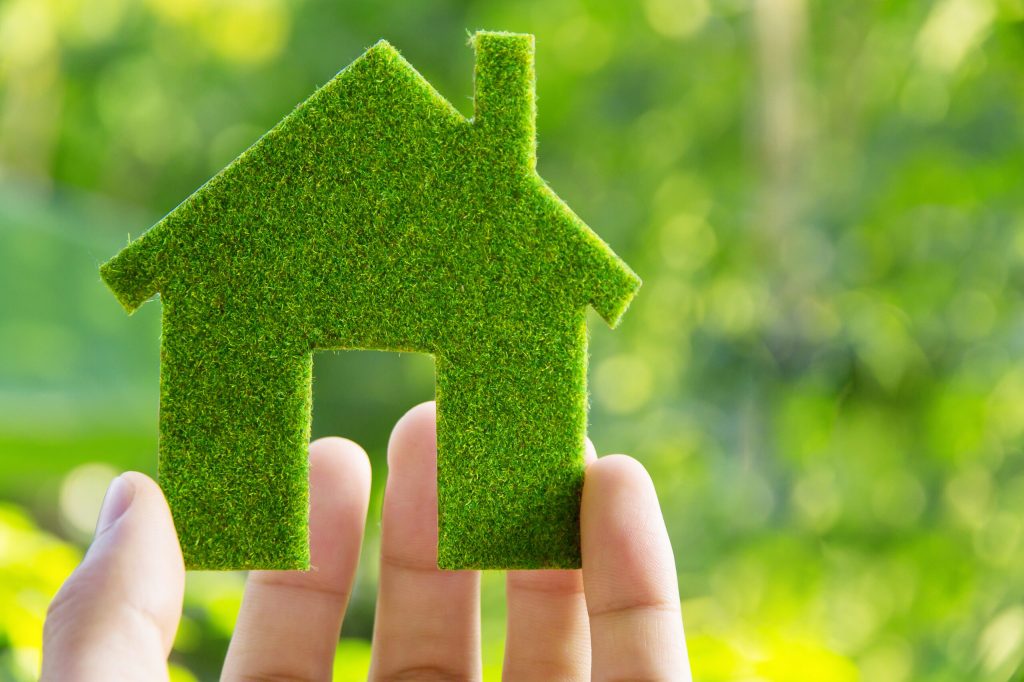 Green Building Certification: What is it and How can Businesses Achieve it?